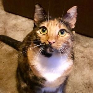 Meet your Posher, Daranny